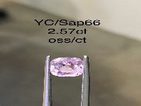 YC/Sap66