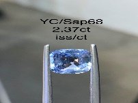 YC/Sap68