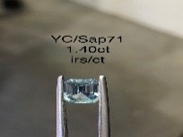 YC/Sap71