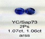 YC/Sap73