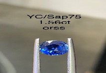 YC/Sap75