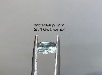 YC/Sap77