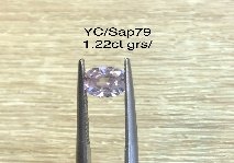 YC/Sap79