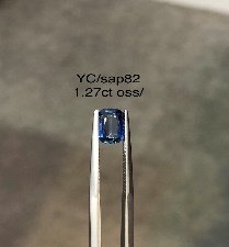 YC/Sap82