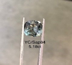 YC/Sap84