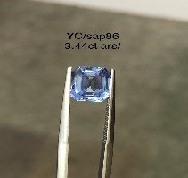YC/Sap86