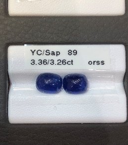 YC/Sap89