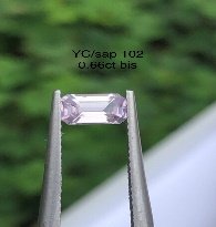 YC/Sap 102