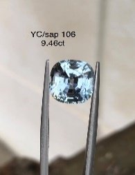 YC/Sap 106