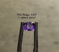 YC/Sap 107