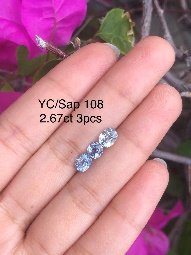 YC/Sap 108