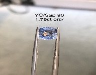 YC/Sap 90