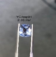 YC/Sap 91