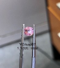 YC/Sap 97