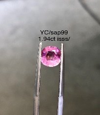 YC/Sap 99