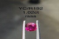YC/YLR192