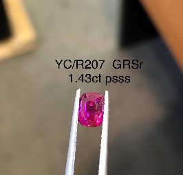 YC/YLR 207
