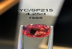 YC/YLSP215