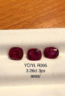 YC/YL R205