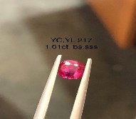 YC,YL/R 217