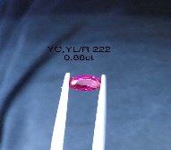 YC,YL/R 222