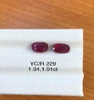 YC,YL/R 229