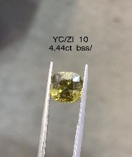 YC/Zi 10