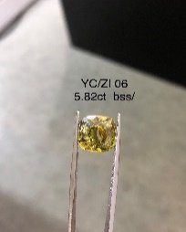 YC/Zi 6