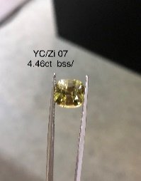YC/Zi 7
