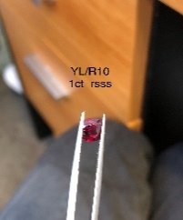 YL/R 10