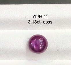YL/R 11