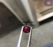 YL/R 3
