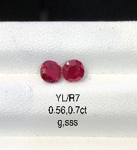 YL/R 7