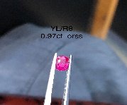 YL/R 8