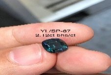 YL/SP67
