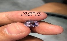 YL/SP70