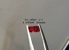 YL/SP71