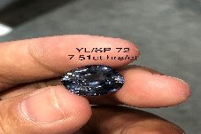 YL/SP72
