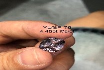 YL/SP76