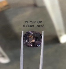 YL/SP82