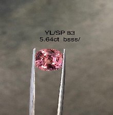 YL/SP83