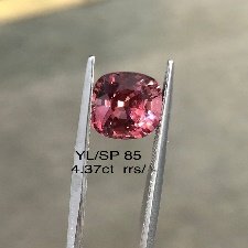 YL/SP85