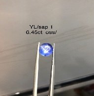 YL/sap 1