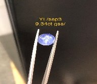 YL/sap 3